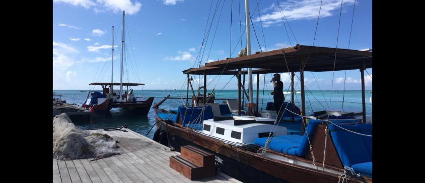 catamaran tour aruba